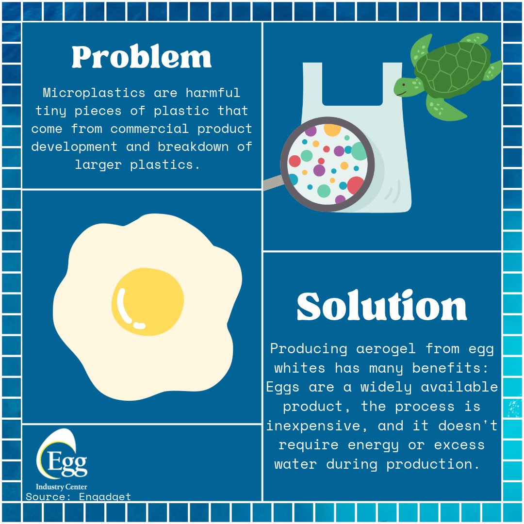 EggIndustryCntr's tweet photo. #DYK egg whites are a sustainability contender? ♻️ Microplastics are a massive environmental challenge, but innovative research shows that egg whites could be a solution. Inexpensive, accessible, and resource-efficient! #Sustainability #Microplastics https://t.co/GUvFHWOtvg
