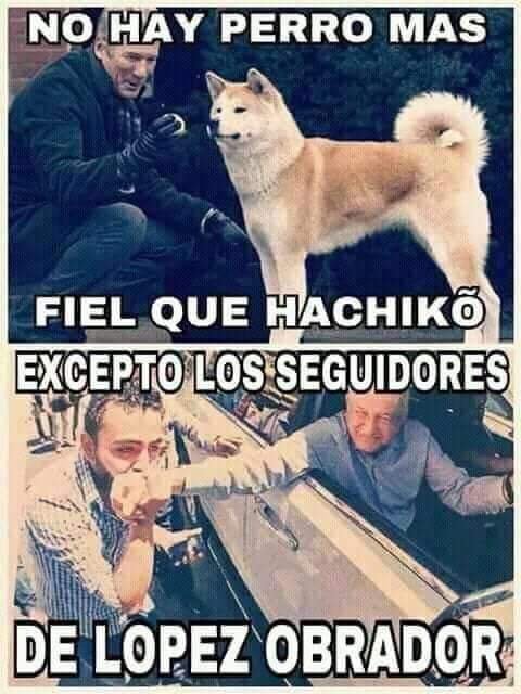 jesusolveruo's tweet photo. @JseLuisVillagm1 @silmagdala Jajaja eso es todo lonque tu pobre criterio da, jajjaa pobre pendejo . https://t.co/Y93nC9H4yB