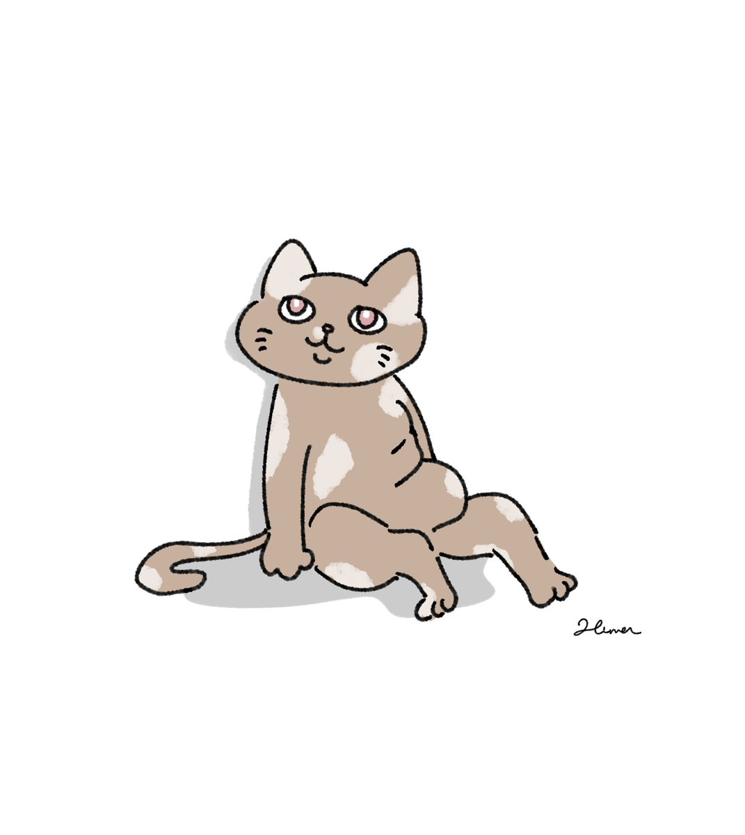 himanikon's tweet photo. 🐈 https://t.co/LmTUIW1PCA