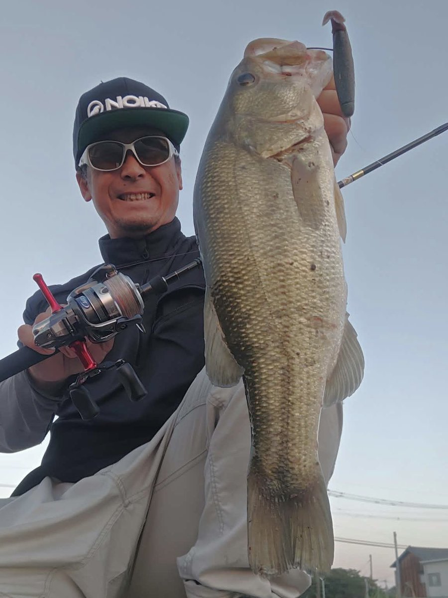 NOIKEmarketing's tweet photo. 今日も九州から釣果報告届きました。
@Stallion4829
S.L.T. minnow 4.8"のノーシンカーリグでグッドサイズ!👍
そして、この後ドラマが…
#NOIKE
#SLTミノー 4.8"
#34シナモンブルー
#NOIKEマーケティング
https://t.co/xZwPTWcqYd https://t.co/sOoqLwFhN0