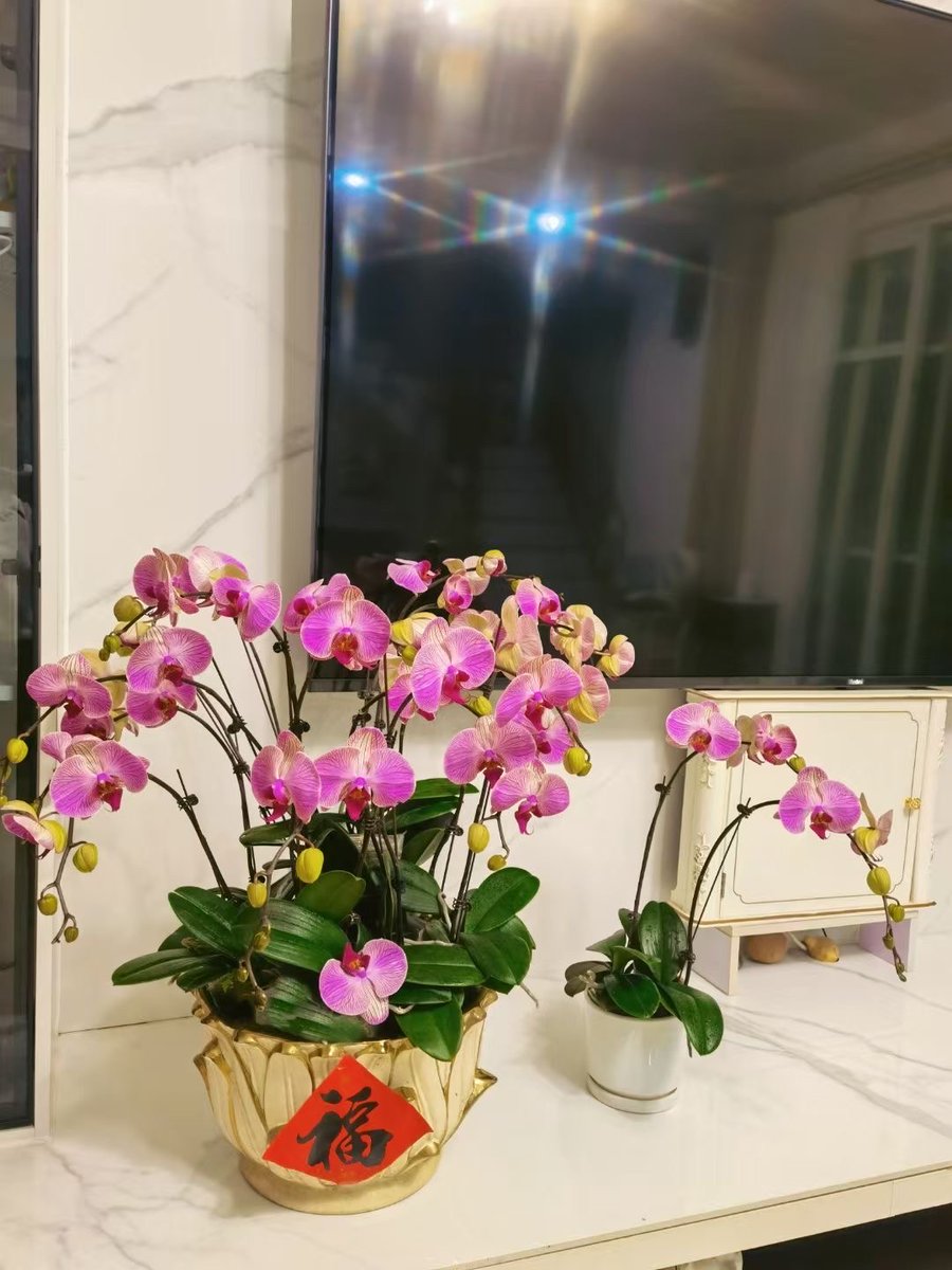 AndreaDennoyio's tweet photo. 昨夜迫る寒波で車のフロントガラスが凍り付き、隣の駐車場のポールに温めた布を当てて車の雪を挪し、コンビニ前のベンチで温かい缶コーヒーを飲みながら、ほっと一息ついた。 https://t.co/fWGcGOQeyR