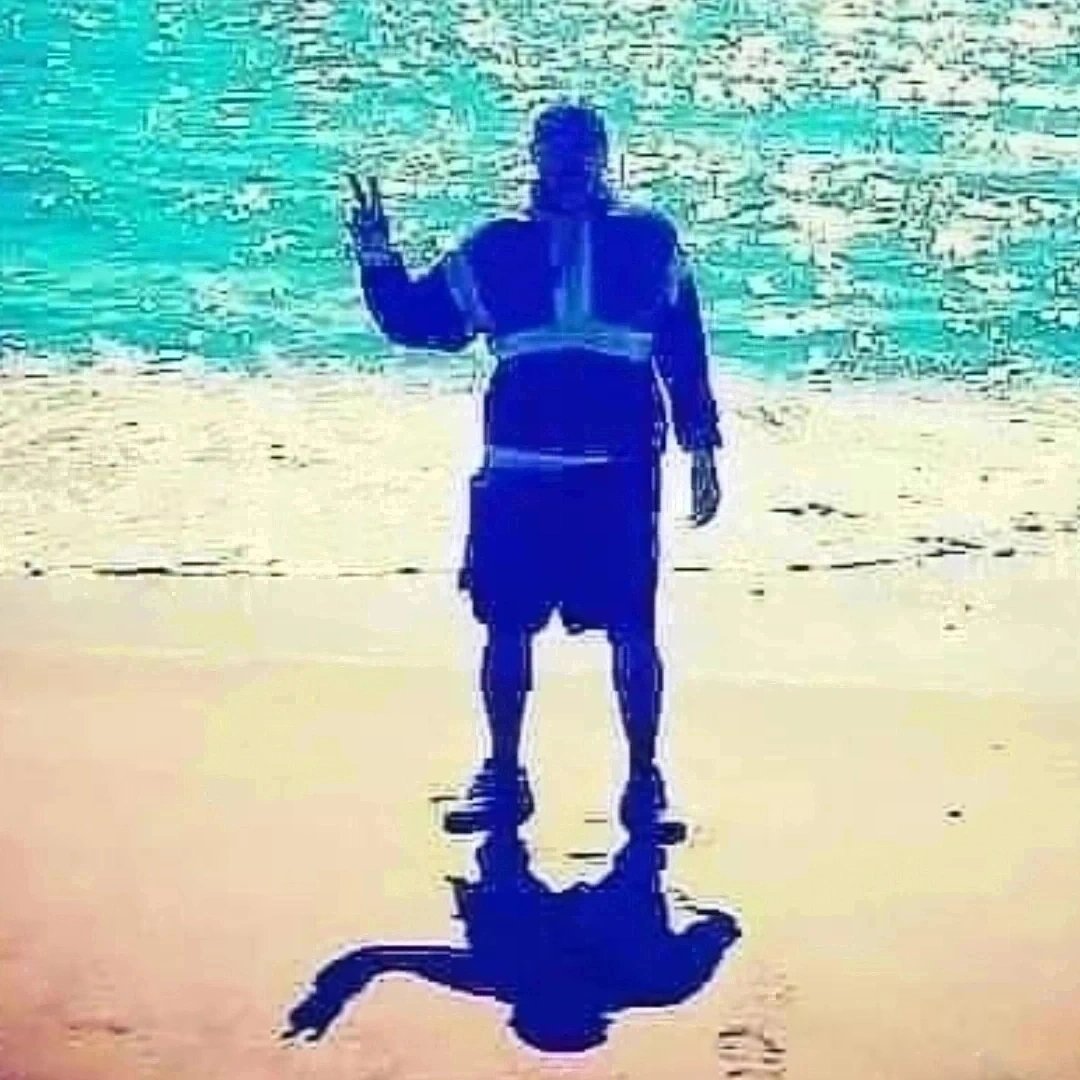 domDemechicx's tweet photo. @sydsullymum Wanna walk in the surf w your dog 🐕😁 today
It's one day warm up 🌞 
Ergo
Sadly 
Last Beach Day!!!
 Celebs stay at THE OCEAN HOUSE 

It was my childhood ⛱️ BEACH and now also TAYLOR'S ⛱️ BEACH 

Where is your home most of the time!??
West or East 
If East 
Its easy to get to https://t.co/XsFJj500B3