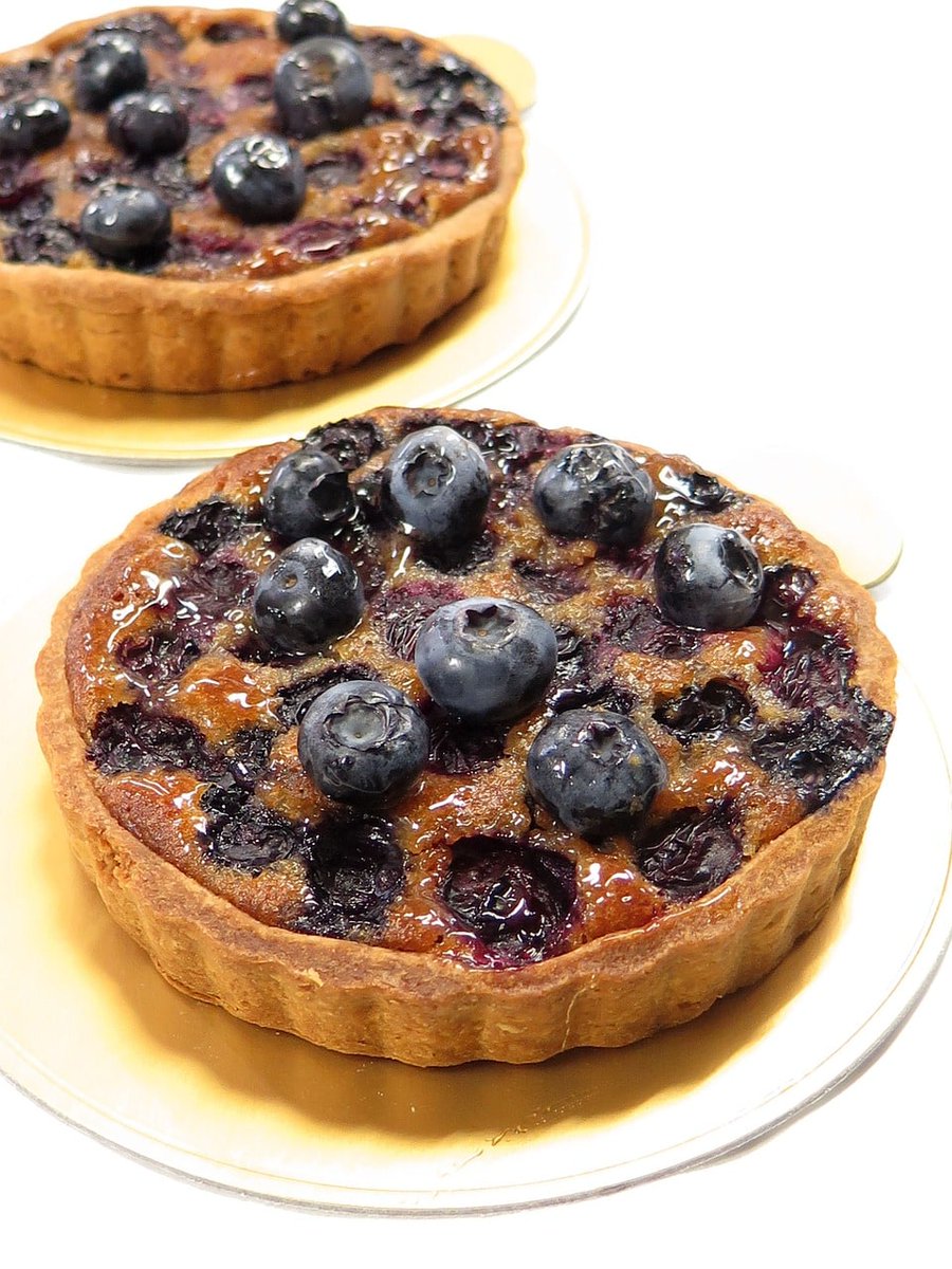 RyanNathanq4's tweet photo. These look seriously delicious, can't stop thinking about that crust
#blueberry https://t.co/8LD6UL2Ngm