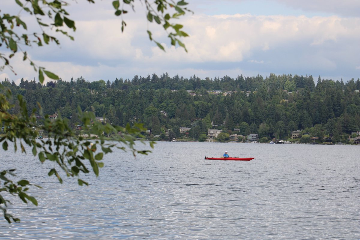 RepAdamSmith's tweet photo. The Clean Water Act has been fighting water pollution for over 50 years. By setting wastewater standards, maintaining water quality, and improving pollution treatment, more Americans and wildlife are able to enjoy our nation’s water sources. https://t.co/iwVMseLMiJ