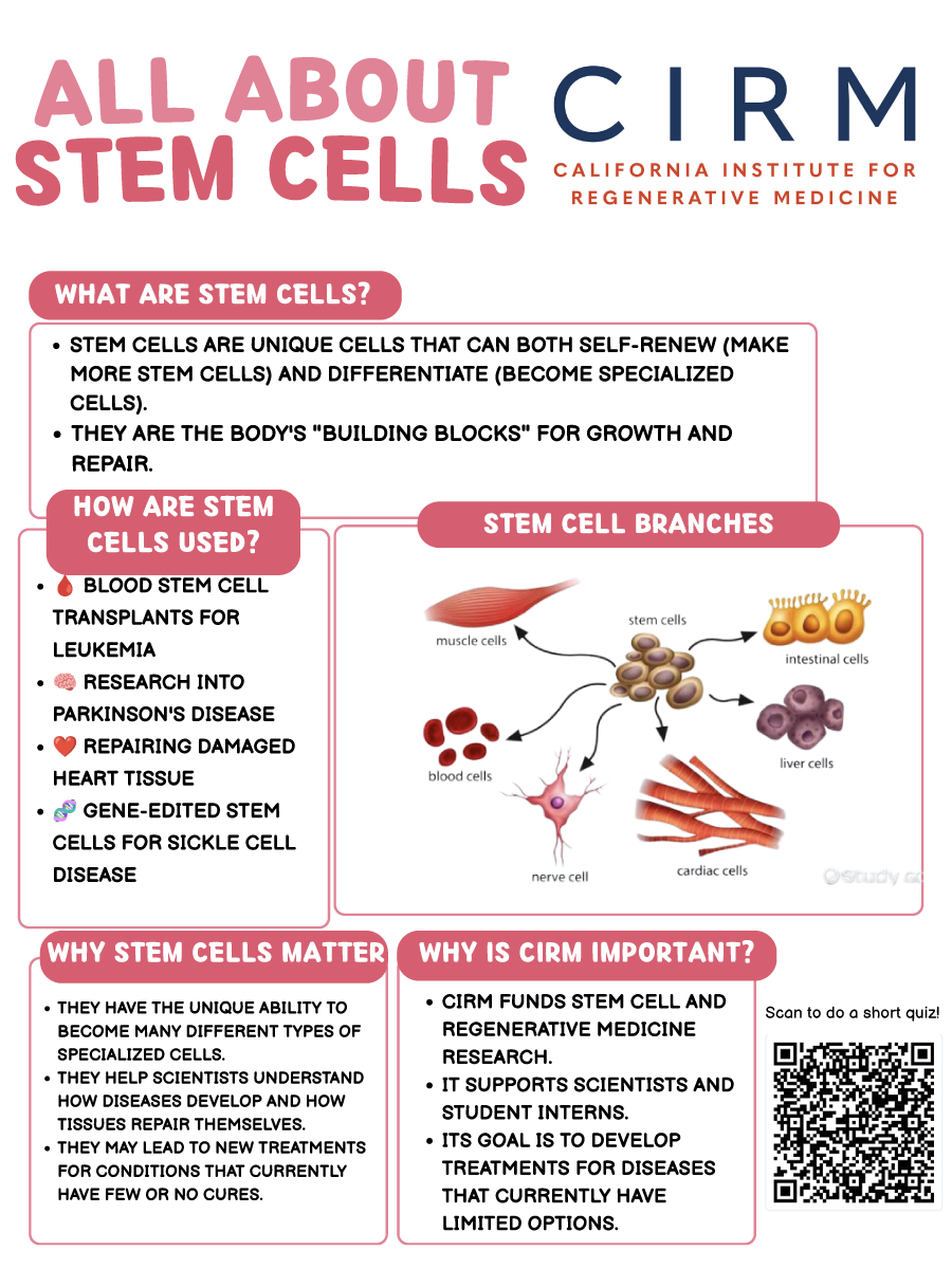 CIRMnews's tweet photo. #StemCellAwarenessDay, launched by California in 2008, makes regenerative medicine science accessible and inspiring. Explore some cartoons and activities by CIRM SPARK high school interns—and inspire tomorrow’s innovators! https://t.co/n47h2m1zpk