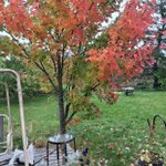 Photo by Anne LeBlanc 🇨🇦 @anneleblanc2.bsky.social #BLM (@AnneLeBlanc2)