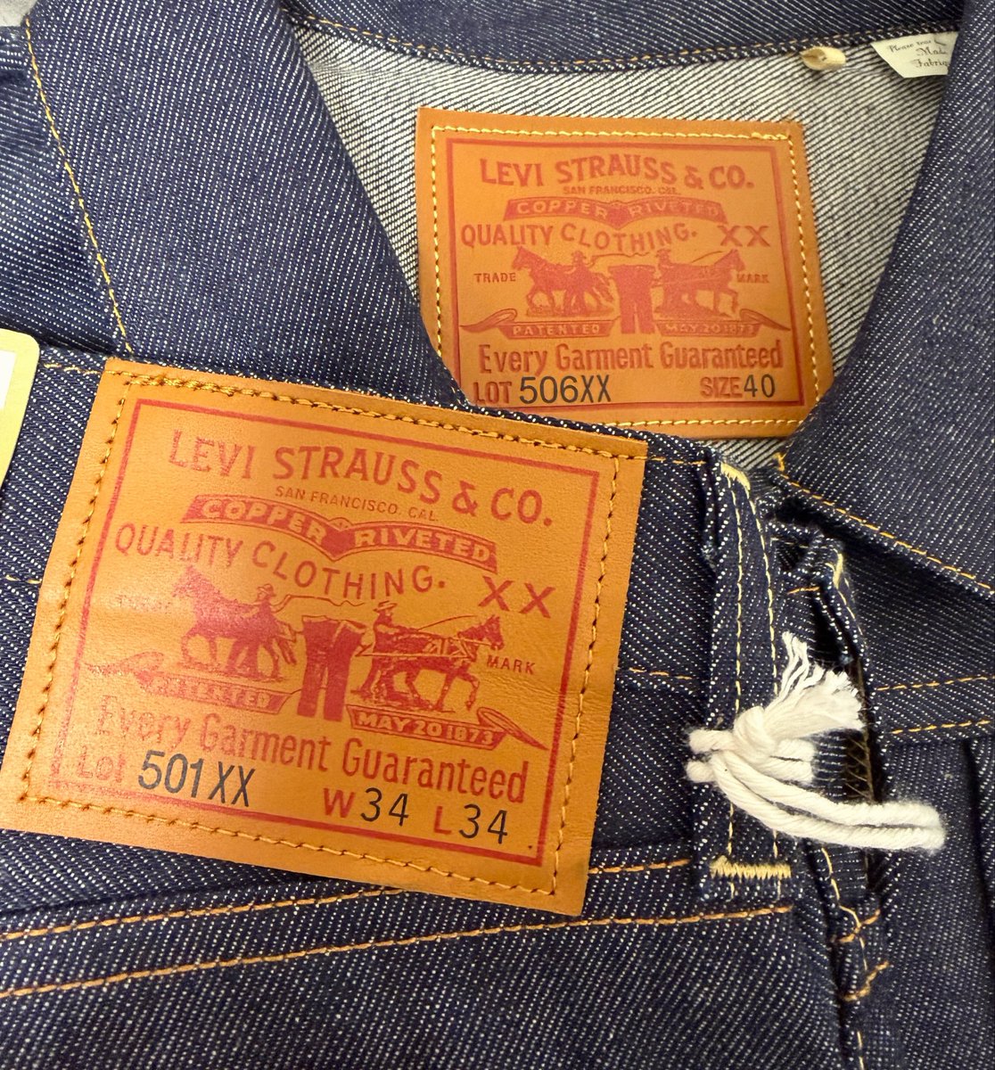 Calcifer_az's tweet photo. 普通に買って嬉しかったから自慢していい？
育てる…詳しい人教えて‼️ https://t.co/r6Zit3vM1d