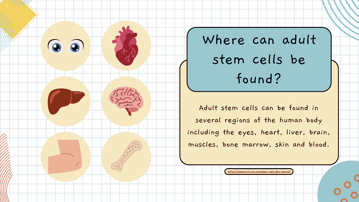 CIRMnews's tweet photo. #StemCellAwarenessDay, launched by California in 2008, makes regenerative medicine science accessible and inspiring. Explore some cartoons and activities by CIRM SPARK high school interns—and inspire tomorrow’s innovators! https://t.co/n47h2m1zpk