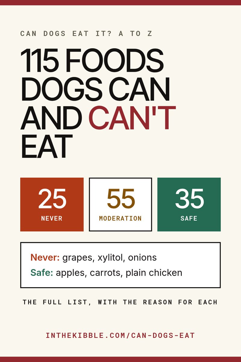inthekibble's tweet photo. Can dogs eat corn? The kernels are digestible and common in dog food. The cob is a hard no. Our verdict: caution. #dogs

https://t.co/3Lkgb3voYo https://t.co/3OP5YMHXOk