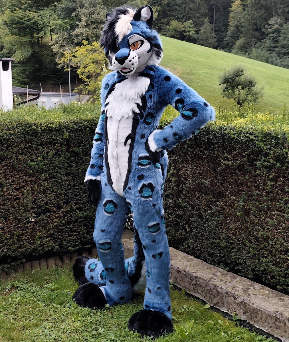 TaruFursuits's tweet photo. Introducing @DaxSnep 💙🤍 https://t.co/d3zMrQ1OgG