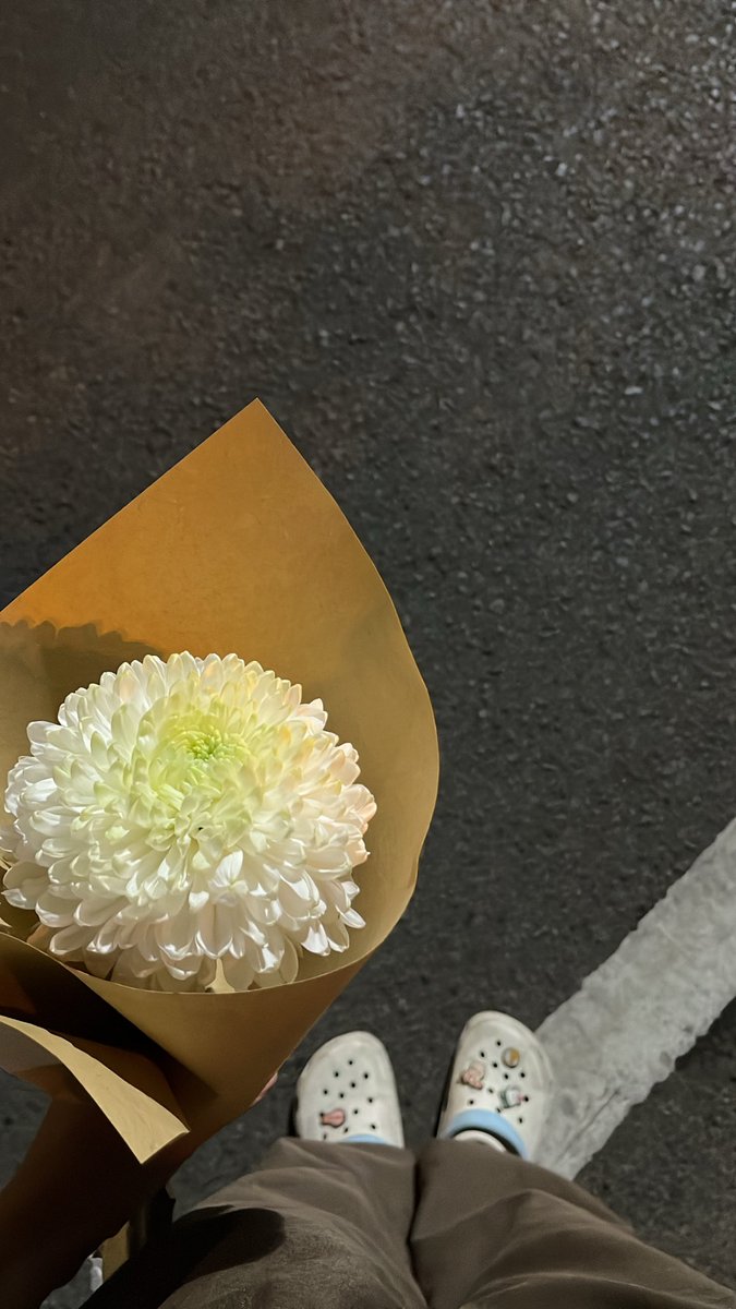 yashaa_07's tweet photo. chrysan dari pacal gwh🥺, i love pacal gwh🥺🫰 https://t.co/f7dSWNLEfQ