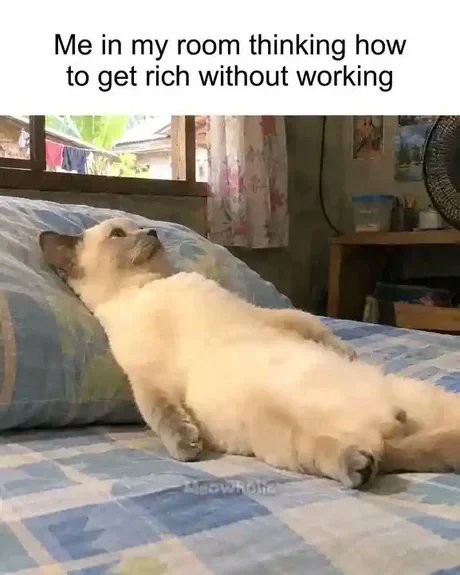alica_graphic's tweet photo. Me in my room, manifesting millions while my biggest achievement today was getting out of bed ππΈπ±
#LazyMood #RichWithoutWorking #CatMemes #RelatableAF #FunnyMemes #Mood #DreamBig #MillionaireMindset #LazyLife #ViralReels #ExplorePage #LOL https://t.co/vDBBY3NMn9