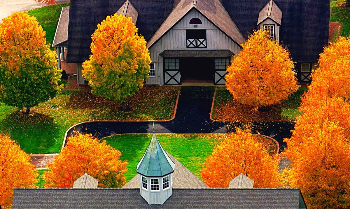 RacingDownWind's tweet photo. RDW Community: Who is playing Keeneland today

If we get over 50 Likes or Reposts, 
I will Post the RDW Grid for today.. 
You have about 40 minutes to hit the number. https://t.co/YMXwL4SReG