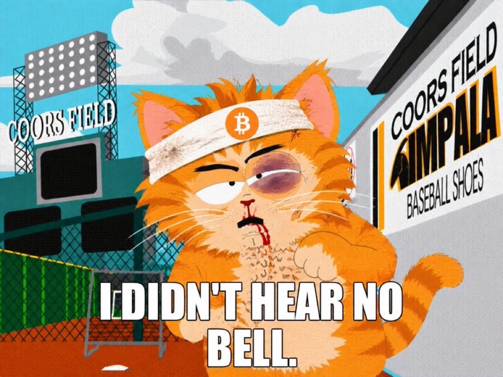 ThePhunky1's tweet photo. @BTCbuythecat Hell yeah it does 👊 https://t.co/Fg6ff9c606