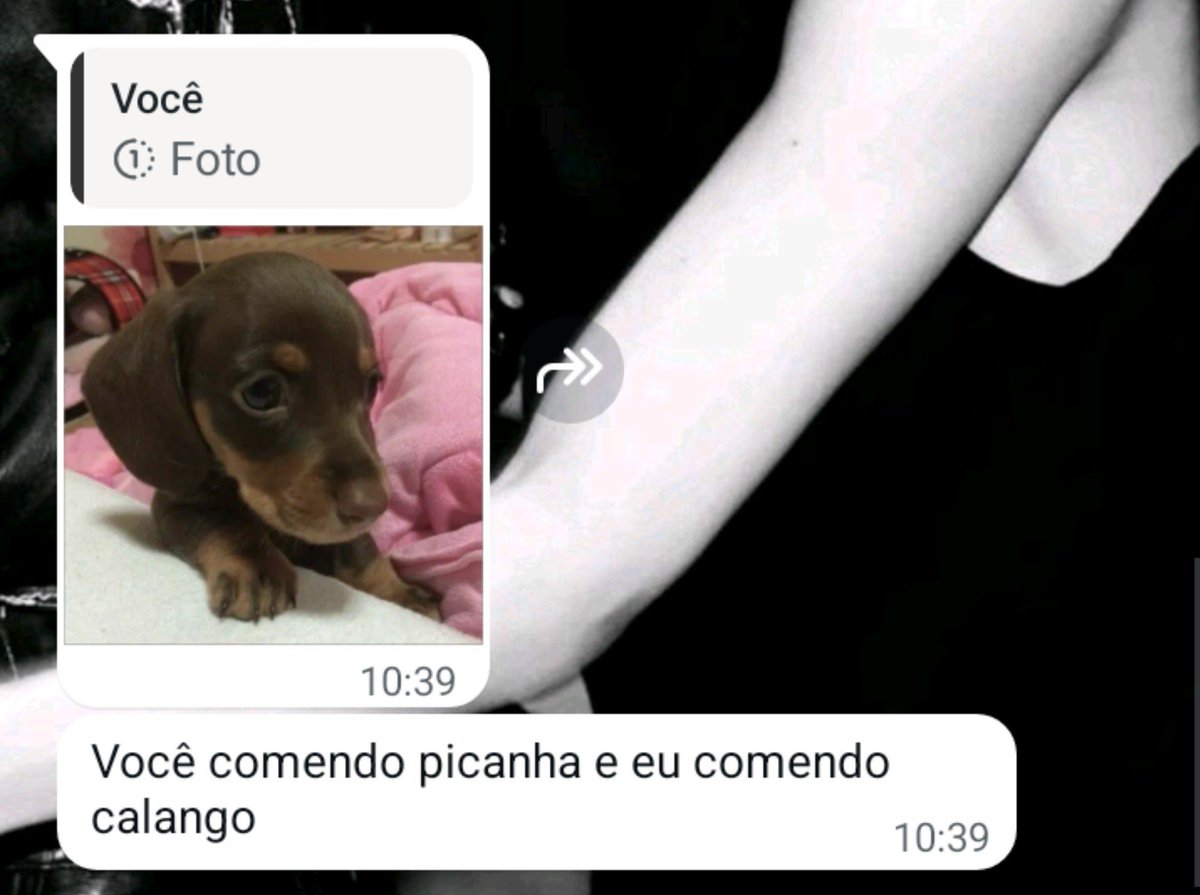 Shini_kii's tweet photo. Fui mostrar minha namorada pro meu primo e ele falou isso KAKAKKAMAKAMNN https://t.co/NoaNVsfU9s
