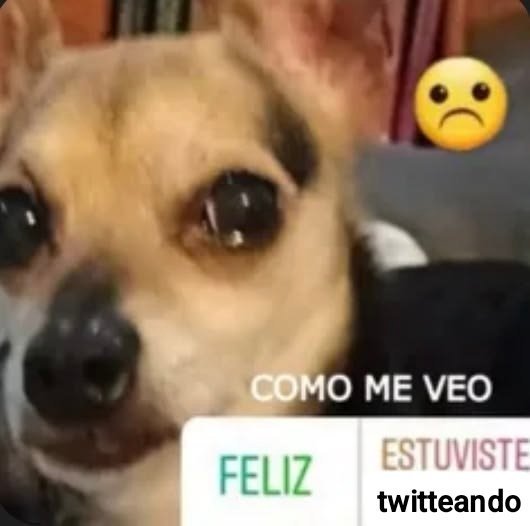 qwwwt0's tweet photo. dejen de dejarme en flop https://t.co/7uT3aciByZ