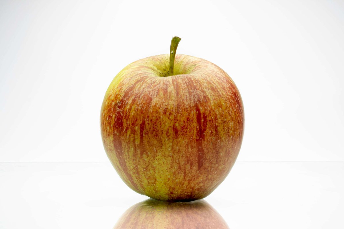 vtbcfeed's tweet photo. Always wash your fruit. dlvr.​it/TVw2J8 #FruitCleaning #PesticideFree #HealthyEating #ScienceBased #FoodSafety https://t.co/FJ20crh6jO