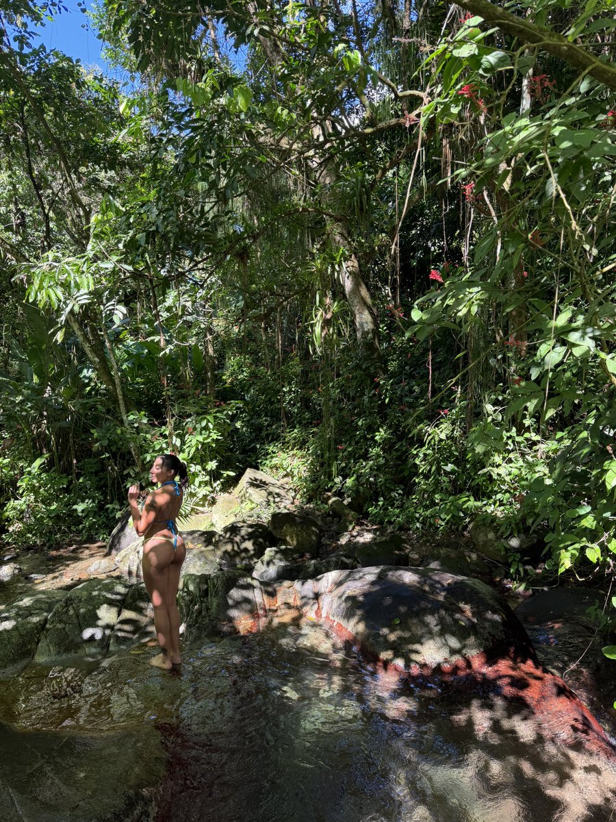 j47myn's tweet photo. 🇵🇷 https://t.co/kI5s3xeEep