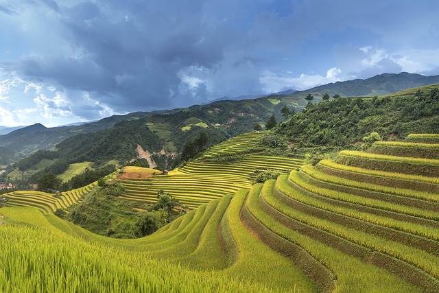 Titomlk's tweet photo. 米书，这个我忘不了，那段时间挺难的，我稳住了点，你那时候在我旁边。 https://t.co/AQtvUAQlSh