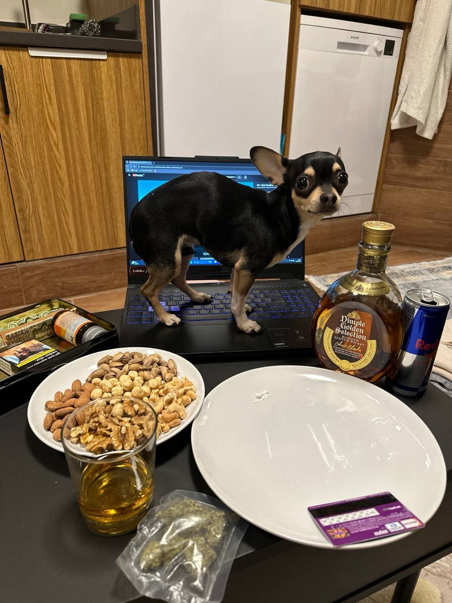Sprithx's tweet photo. Hayırdır sana amcık diyor :)) https://t.co/paMnSeVPYj