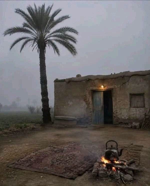 amal_saad11's tweet photo. #حكمة 
يسعد مساكم

مِنْ طَابَ أَصْلُهُ طَاب فِعْلِهِ..... 
 فَلَا يُثْمِر الْغُصْن إلَّا مِنْ طِيبِ الْجُذُور https://t.co/a4a4LTLEaj