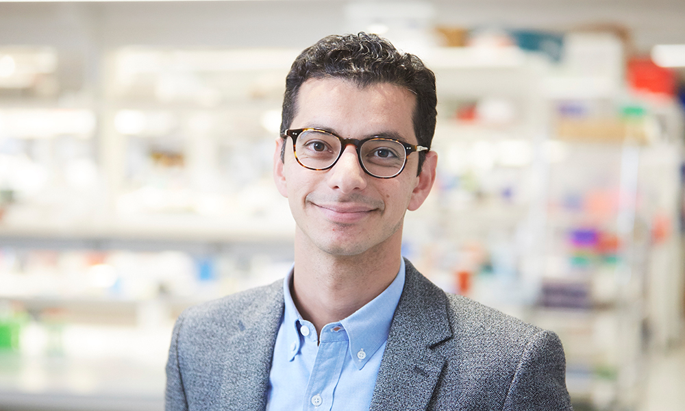 MCB_Harvard's tweet photo. MCB Professor Ahmad (Mo) Khalil Receives Prestigious NIH Director’s Pioneer Award
https://t.co/WPcHPvFShI @NIH @hseas @Harvard @MoKhalilLab https://t.co/1uFIfNKPDu