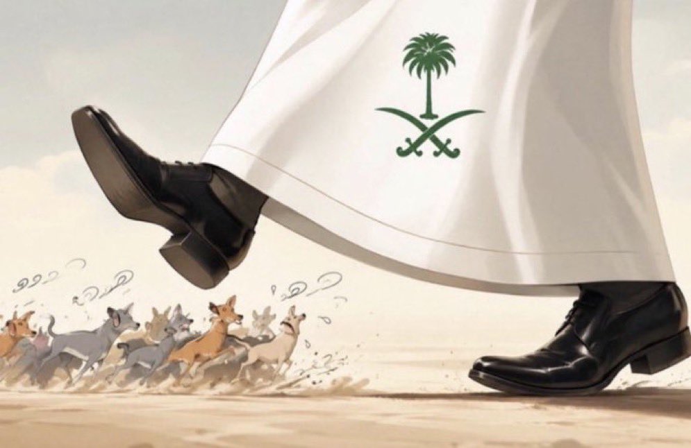 MBS_2222's tweet photo. @abn_ataq احنا هنا نربيك وندعس على اذناب المجوس https://t.co/Ho4SwAtVye
