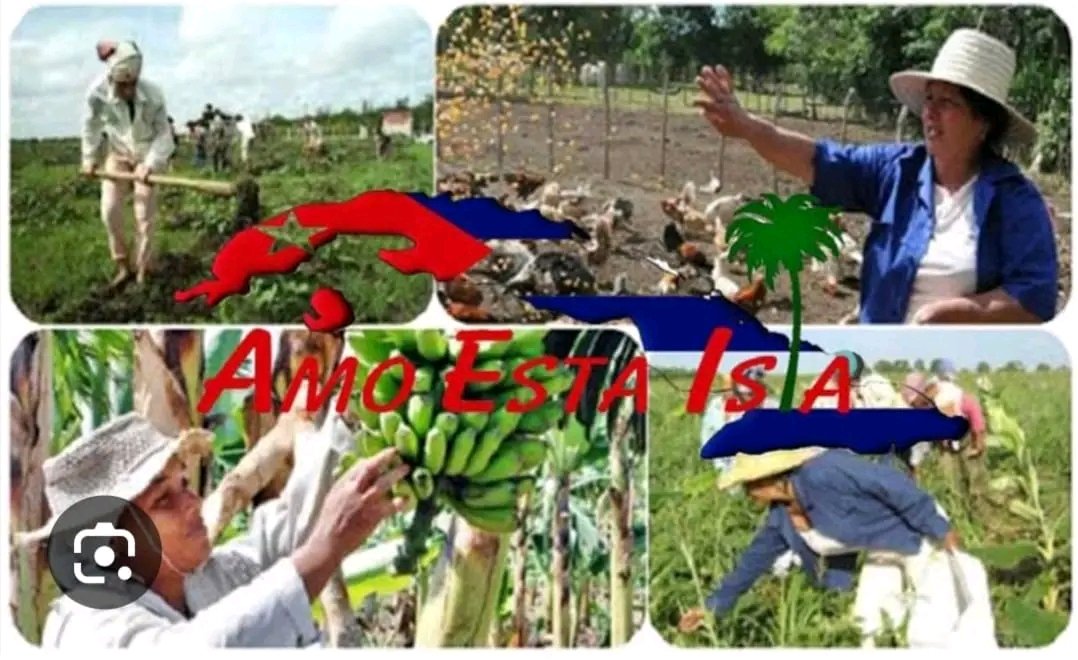 dayami_hid83409's tweet photo. Hoy 15 de Octubre se celebra el día internacional de la mujer rural. #MajaguaUnida #LatirAvileño #CubaViveEnSuHistoria https://t.co/s5HT1dxLmJ