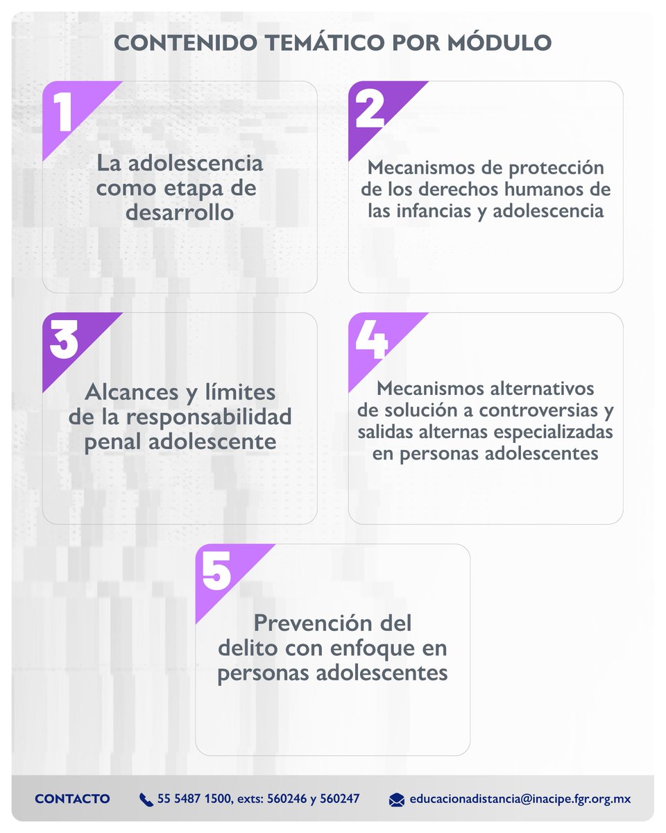 INACIPE's tweet photo. Aparta tu lugar en el Diplomado a distancia en Justicia Penal para Adolescentes: Marco y Aplicación Práctica.🤓 ¡Inicia el 26 de octubre! Te damos opciones a meses sin intereses pagando en punto de venta. 💳 Consulta las tarjetas participantes aquí 👉 : https://t.co/AngP6A2rmy https://t.co/MxYQymgvw5