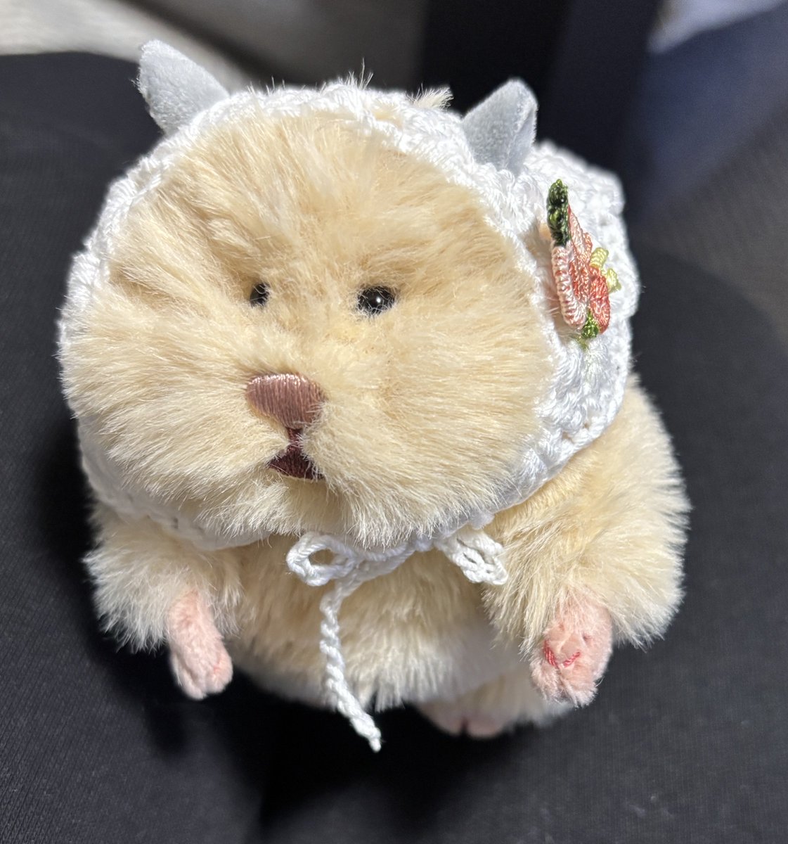 ffllozmnnn's tweet photo. 可愛すぎ🐹 https://t.co/nLOQ2EBys2