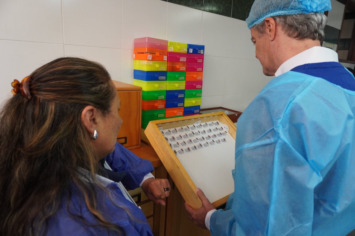 OPSOMS_Col's tweet photo. A esta hora se desarrolla en Colombia la Misión Internacional de Verificación de la Interrupción de la Transmisión Vectorial de la Enfermedad de Chagas, que evaluará el estado de interrupción de la transmisión vectorial  en 114 municipios. https://t.co/AylwAhUoh7
