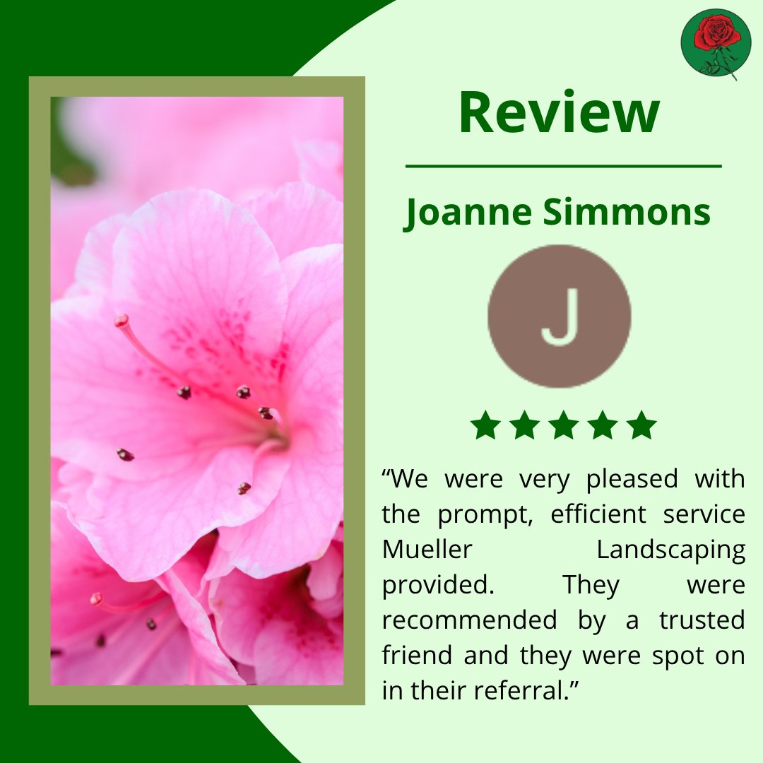 MuelleLandscape's tweet photo. ๐ธ๐ Thank you, Joanne, for sharing your experience with Mueller Landscape! Weโre so happy to hear that you were pleased with our service and your garden! ๐ฟโจ
.
.
.
.
#ClientReview #HappyClients #MuellerLandscape #Landscaping #CustomerLove #LandscapeDesign https://t.co/SVLVe6qGvZ