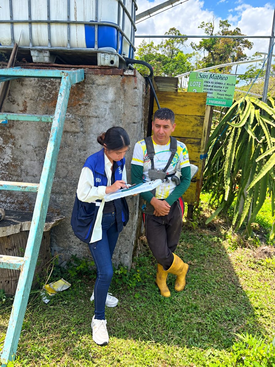 AgrocalidadZ6's tweet photo. 🌱 | #CultivosSanosYDeCalidad
En #MoronaSantiago, junto al @IICAEcuador, inspeccionamos sitios de producción de pitahaya en #Palora, previo a su certificación como libres de mosca de la fruta. 🍈
#ProtegemosElAgroEcuatoriano 💪 https://t.co/p94iMhIdKO