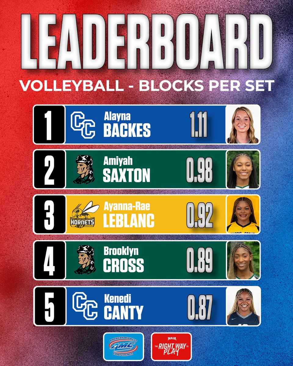AMCSports's tweet photo. #AMCVB WEEKLY LEADERS 🏐

Here’s a look at the individual leaderboard as of Oct. 14!

#AMCSports | #TheRightWayToPlay | #NAIAWVB https://t.co/ew1UpkHDD2