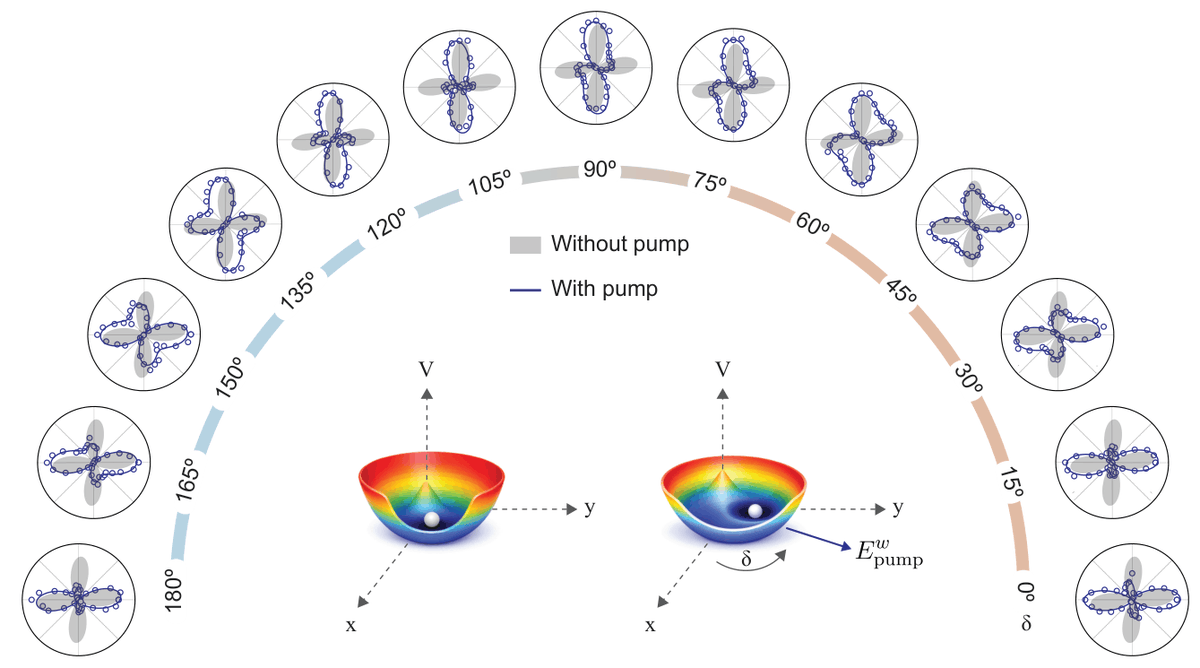 PhysRevLett's tweet photo. Leveraging rotation-anisotropy second harmonic generation, researchers successfully track and control nanoscale polar islands in a quantum ferroelectric metal and probe the transition’s order-disorder nature.

Learn more: https://t.co/4w3f0OU7cm https://t.co/GkLwzDAtTO