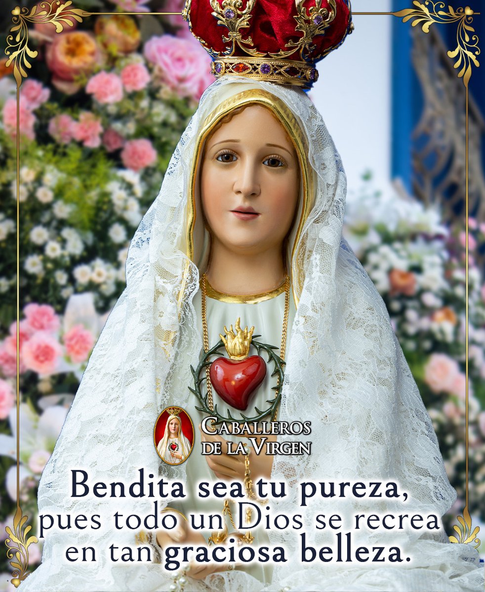 Cab_Virgen's tweet photo. Bendita sea tu pureza, Madre Santísima, espejo de humildad y gracia. Que tu ejemplo nos inspire a vivir con un corazón limpio, entregado a Dios y lleno de amor. Enséñanos a buscar siempre la voluntad del Señor y a caminar bajo tu maternal protección. 🌹🤍 https://t.co/Mgti90ty0X