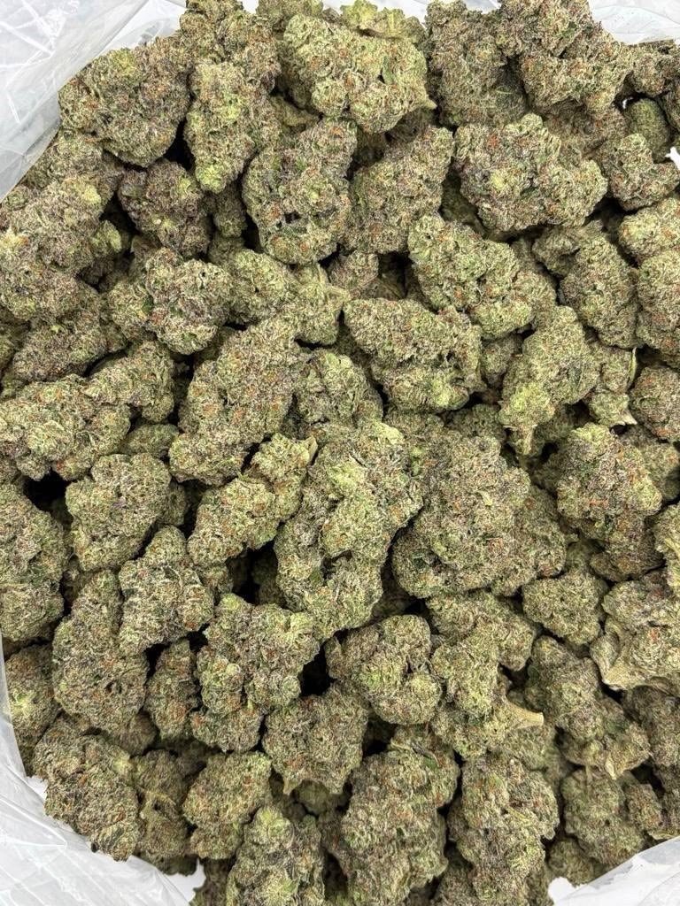 tiendatshirt's tweet photo. Alot of color on these with nice sticky indoor looking nugs. Lots of frost with a candy nose with blue nerds terps🔥

$700 P https://t.co/HIf7HILpfN