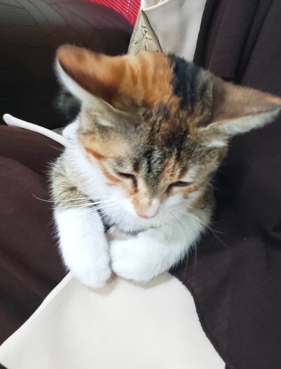 dollarinie's tweet photo. Sen gel bizim ailenin kızı ol ♡ https://t.co/6vZjR8LwbE