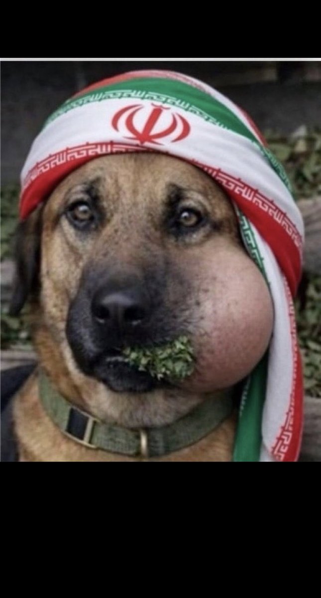 r_700i's tweet photo. @Sh96F ☝🏻🇸🇦
كان ياعبد المجوسي سامحن له
يستبيح ارض اليمن 🇾🇪 ماهو بـ كيفه 

إنطلق ياسرب تحت رعاية الله
خل ضرباتك على راس الهديفه 

شب لين تشيل رأسه من محله
اشعل البارود لين يروح جيفه 🫏🇮🇷

#السعوديه_خط_أحمر #العقاب_قادم_ياحوثي https://t.co/Eo2XdjIvXY