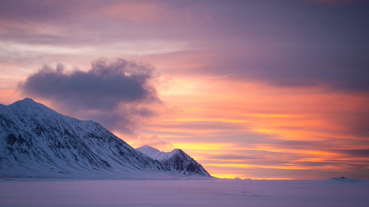 Blue_Parallel's tweet photo. Far north of mainland Norway, #Svalbard offers a sense of Arctic wilderness. ❄️ Explore glaciers, mountains, and fjords by expedition vessel, with opportunities to encounter polar bears, walruses, and Arctic seabirds. #PolarTravel #LuxuryTravel https://t.co/vz96D8ztQh https://t.co/LHUUK8b375