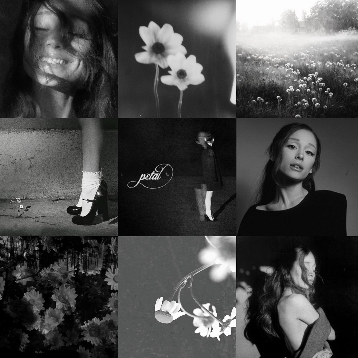 theegrandeheels's tweet photo. petal aesthetic >>> https://t.co/X4nMH5RHF0