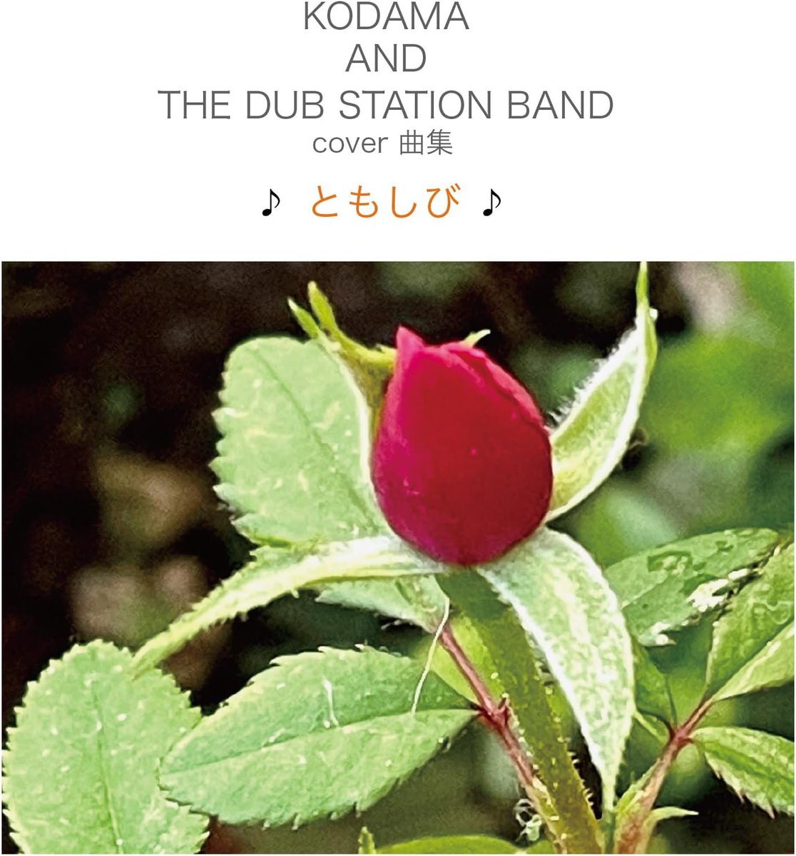 hirosuke_z's tweet photo. #nowplaying 花はどこへ行った from COVER曲集 ♪ともしび♪ by KODAMA AND THE DUB STATION BAND https://t.co/kn1olqaZHV