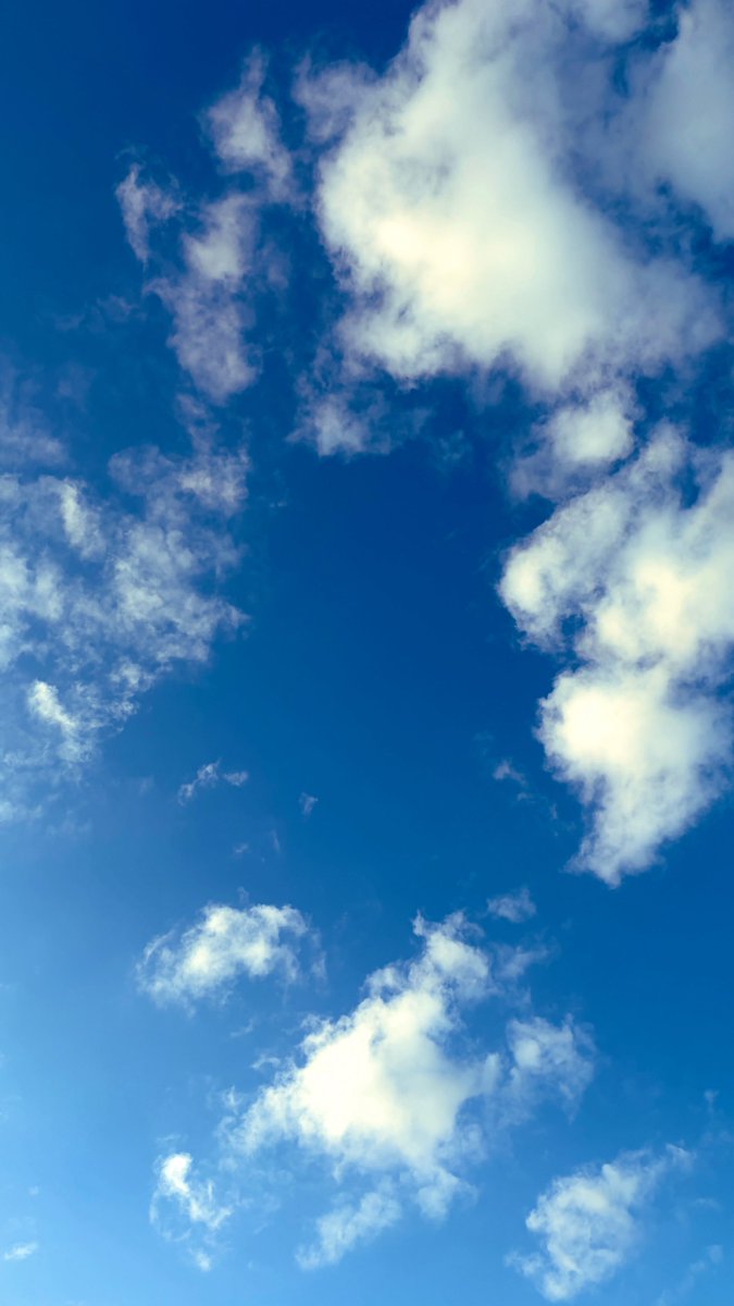 Sj_Q89's tweet photo. おはようございます☀
週末までまっしぐらな
木曜日も頑張りましょう！ https://t.co/jZrU6kxnr8