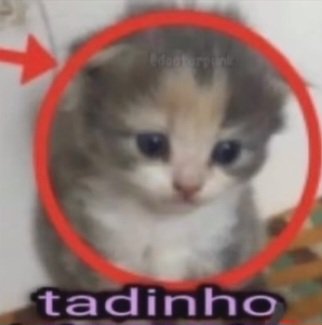 zaungab's tweet photo. saudade da minha mulher https://t.co/vszguA7C0i