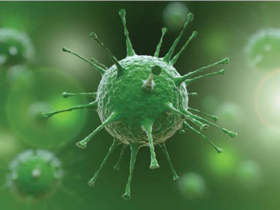 SciNatureNews's tweet photo. 🚨: Unprecedented cancer vaccine trial shows life-changing results and successfully achieves complete elimination of tumors. https://t.co/GjUpsrhVc0