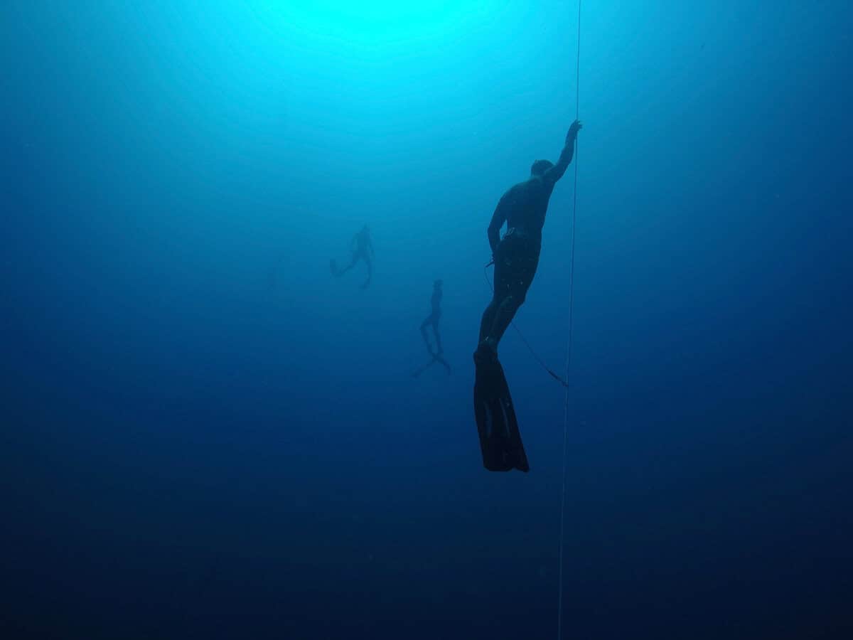 deeperblue's tweet photo. ‘It Would Be Futile’: Freediving Agencies Grapple With Sharing Sanctions as Reports Mount dlvr.​it/TVwDv7 https://t.co/jKapD2diVh
