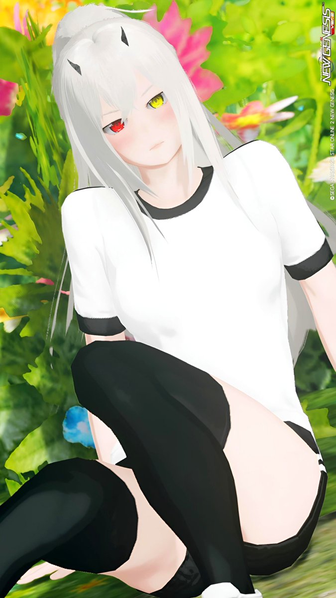 syo_ship10's tweet photo. アイリス｢ｼﾞｰ…｣

体操服ねき可愛いなぁ…(*´ｪ｀*)💕
#PSO2NGS_SS
#メンテの日じゃないけどSSを貼る https://t.co/YsQ9L6N3YQ