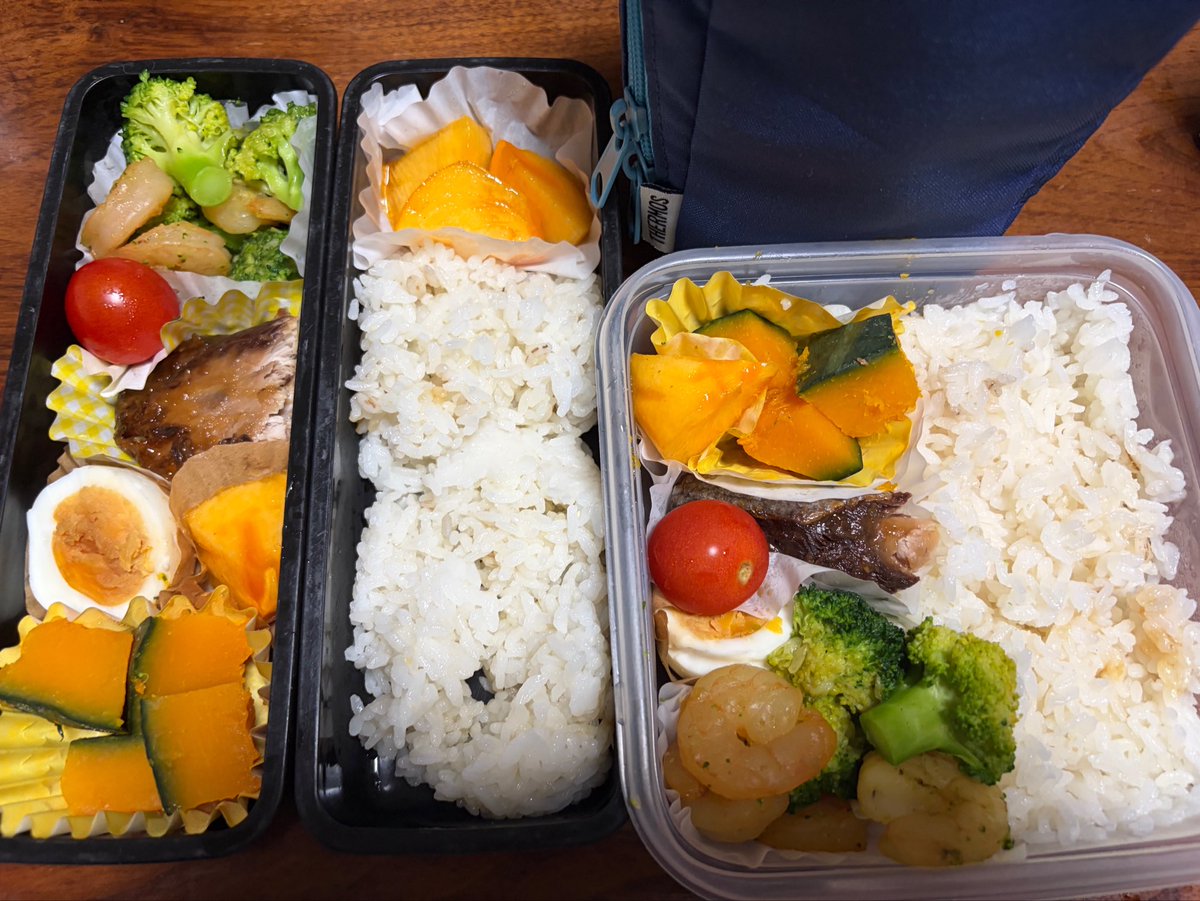 h1s3z5's tweet photo. 今日のお弁当🍱
・🦐と🥦の炒め物
・蒸しかぼちゃ🎃
・ブリの照り焼き
・ゆで卵　🍅
・ごはん https://t.co/KizOSCoyUQ