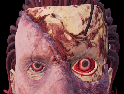 canamo67's tweet photo. i like that detail that looks like red eyelashes https://t.co/eAr0X5sGwI
