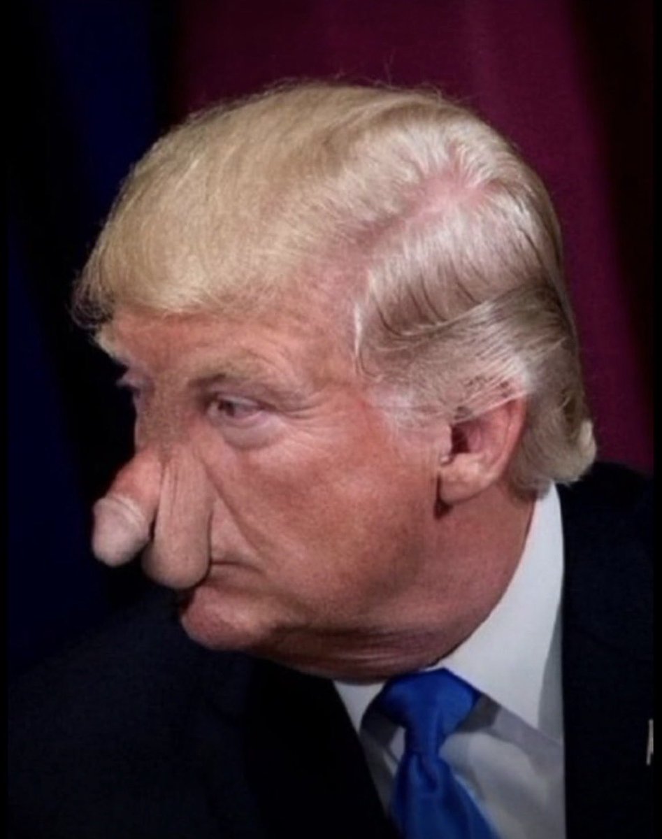 bunnywhim's tweet photo. @allboutnova This your man? https://t.co/ibMurUOHbK